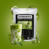 DOMINIKS Sports Nutrition PROTEIN Pulver Iced Matcha Latte